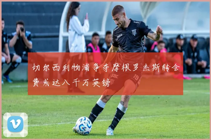 切尔西利物浦争夺摩根罗杰斯转会费或达八千万英镑
