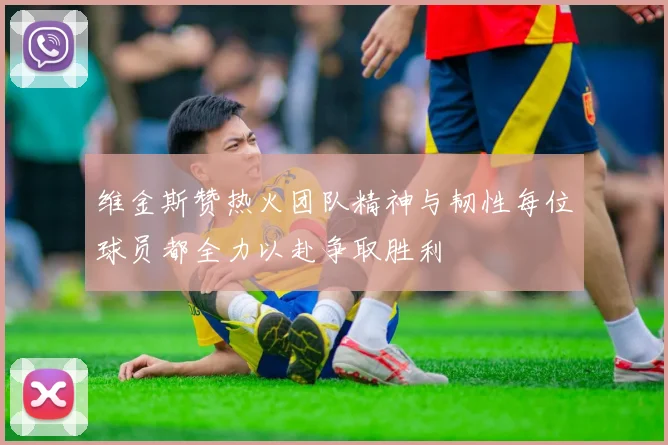 维金斯赞热火团队精神与韧性每位球员都全力以赴争取胜利